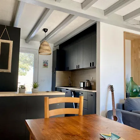 Maison Avec Terrasse Et Piscine Privee Proche - Fr-1-336-139 Saint-Vincent-sur-Jard